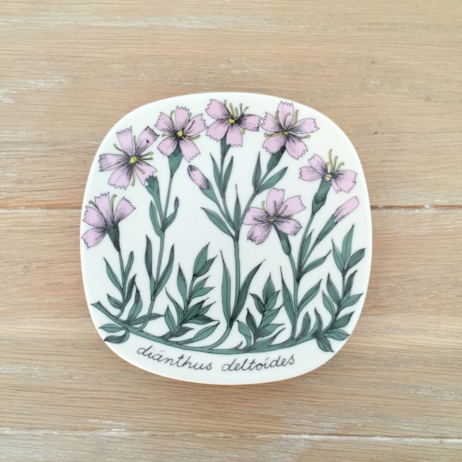 Arabia Finland, Esteri Tomula – Aamu, Flora, Botanica | C20Ceramics