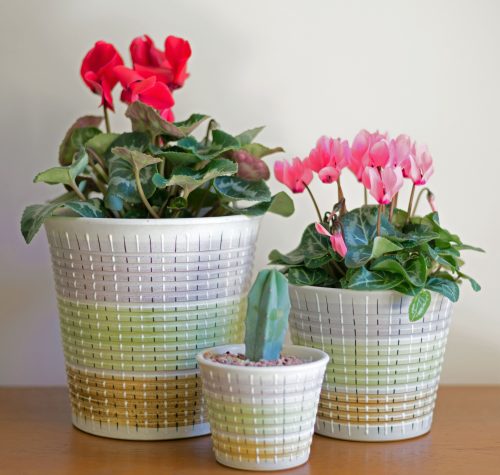 Denby Burlington Planters