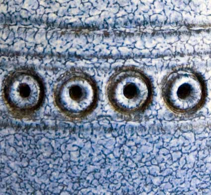 Eric Juckert Bud Vase Detail 