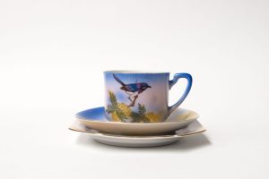 Noritake Blue Wren - Golden Wattle