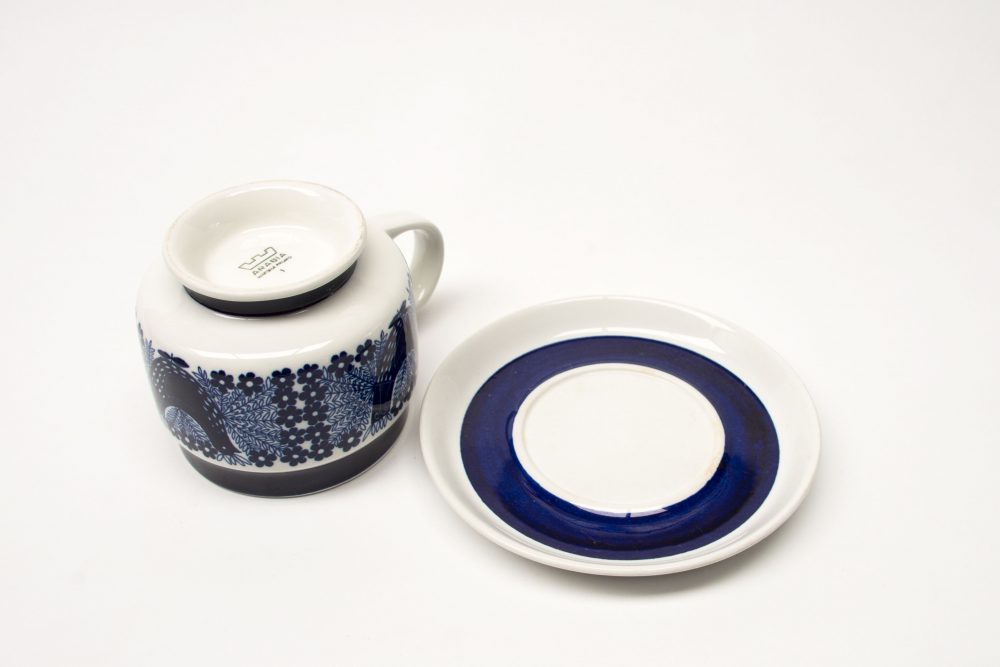 Arabia Bluebird/Sinilintu